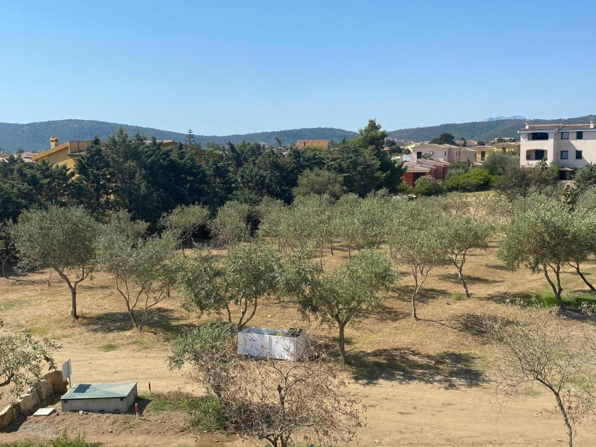 Villa Lentischio Budoni Eksteriør bilde
